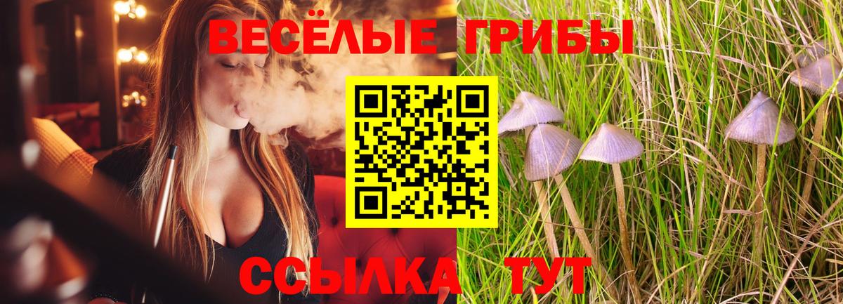 Галлюциногенные грибы GOLDEN TEACHER  Вход с VPN  Владикавказ  Галлюциногенные грибы мухоморы 